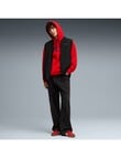 Puma Sport Hoodie, Red product photo View 03 S