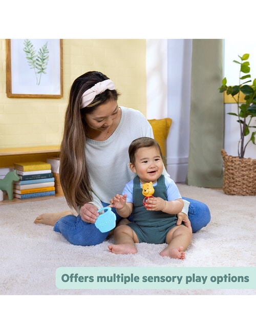 Disney baby Hunny & Shake Rattle Teether product photo View 07 L