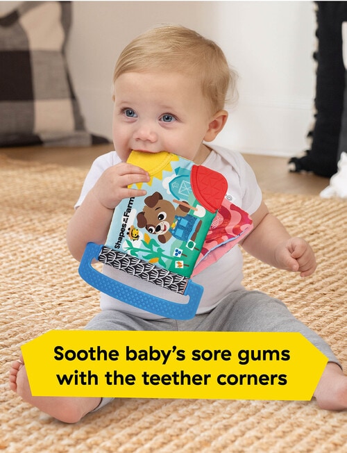 Baby Einstein Shapes at the Farm Teether Book product photo View 09 L