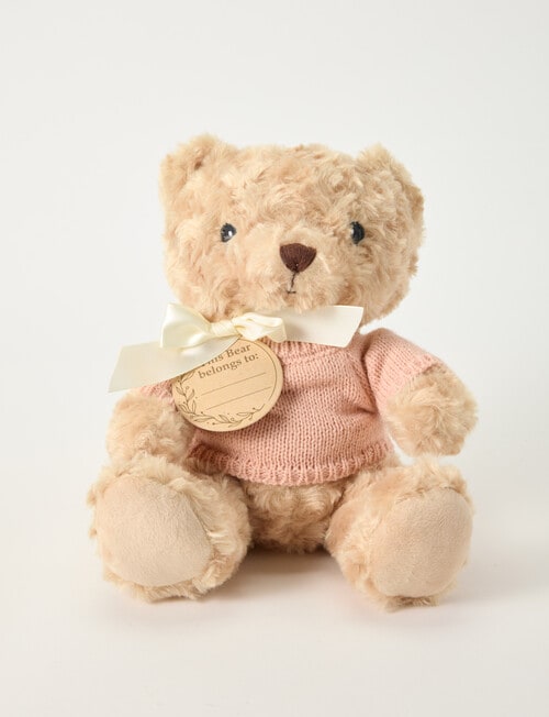 Teeny Weeny My First Teddy Bear, Pink product photo