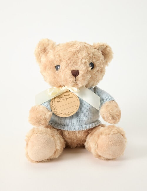 Teeny Weeny My First Teddy Bear, Blue product photo