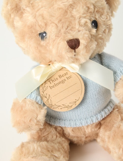 Teeny Weeny My First Teddy Bear, Blue product photo View 03 L