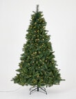 Christmas Shop Swiss Spruce Tree, 210cm/7ft product photo