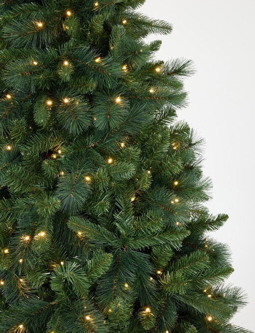 Christmas Shop Swiss Spruce Tree, 210cm/7ft product photo View 03 L