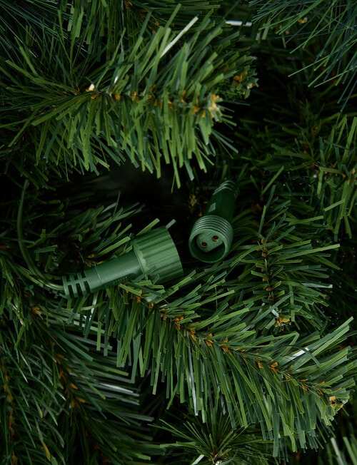 Christmas Shop Swiss Spruce Tree, 210cm/7ft product photo View 04 L