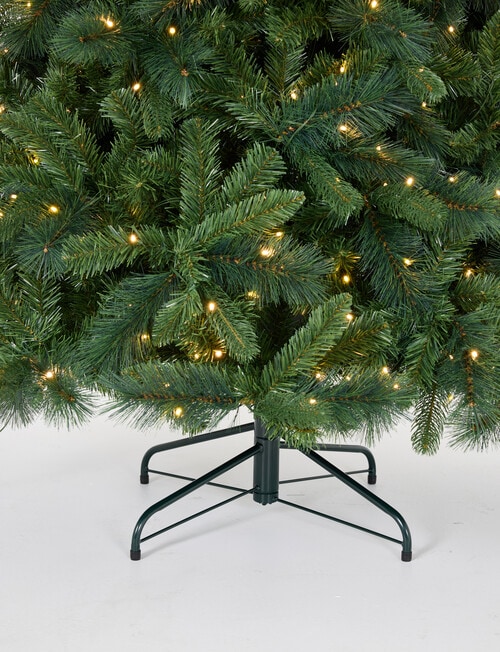 Christmas Shop Swiss Spruce Tree, 210cm/7ft product photo View 05 L