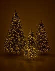 Christmas Shop Swiss Spruce Tree, 210cm/7ft product photo View 07 S