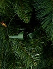Christmas Shop Swiss Spruce Tree, 270cm/9ft product photo View 04 S