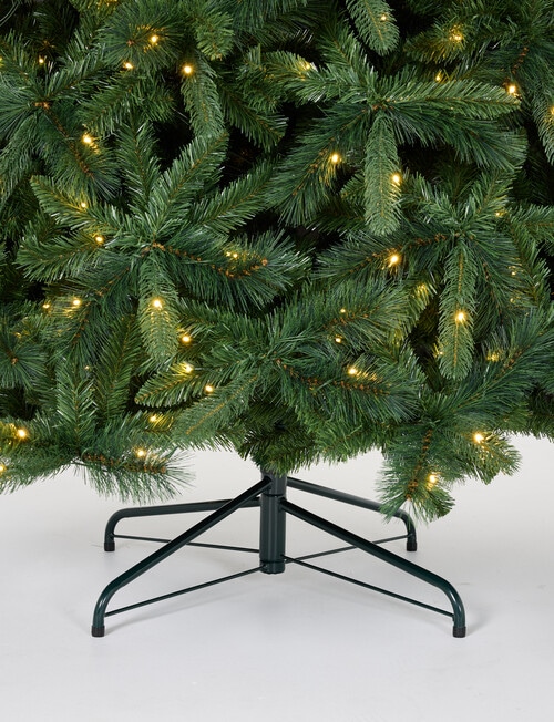 Christmas Shop Swiss Spruce Tree, 270cm/9ft product photo View 05 L