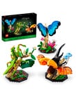 LEGO Ideas The Insect Collection, 21342 product photo