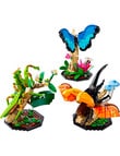 LEGO Ideas The Insect Collection, 21342 product photo View 04 S