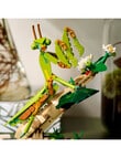 LEGO Ideas The Insect Collection, 21342 product photo View 07 S