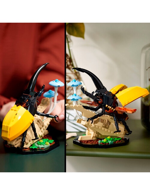 LEGO Ideas The Insect Collection, 21342 product photo View 10 L