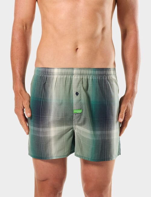 Mitch Dowd Green Machine Check Bamboo Boxer Short, Green product photo View 02 L