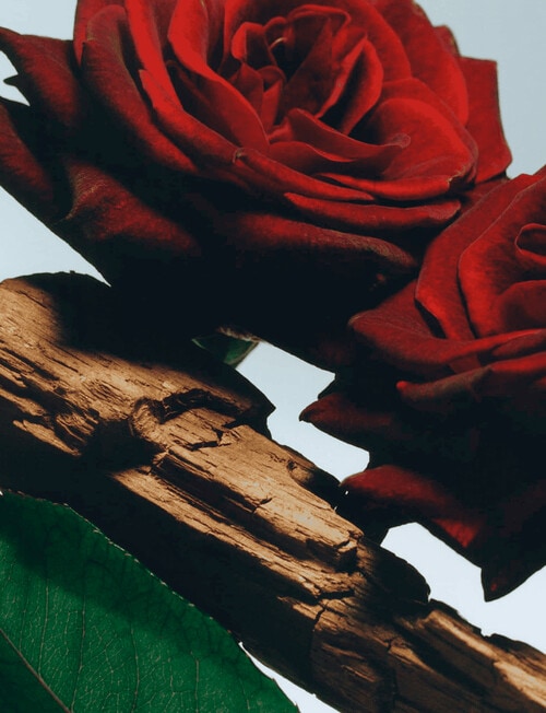 Jo Malone London Velvet Rose & Oud Body Cr&egrave;me product photo View 03 L