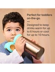 Tommee Tippee ON THE GO Stainless Steel Straw Bottle 500ml, 24m+, Assorted Colours product photo View 09 S