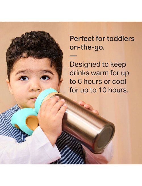 Tommee Tippee ON THE GO Stainless Steel Straw Bottle 500ml, 24m+, Assorted Colours product photo View 09 L