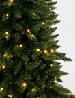 Christmas Shop Aspen Pine, 180cm/6ft, L product photo View 05 S