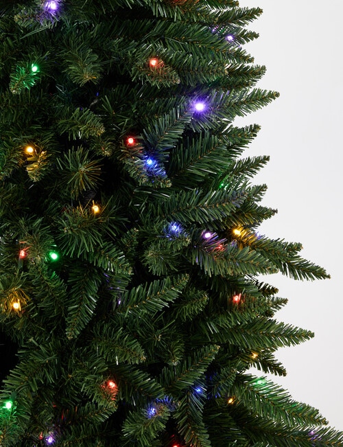Christmas Shop Aspen Pine, 180cm/6ft, L product photo View 06 L