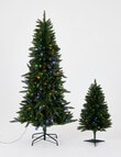 Christmas Shop Aspen Pine, 180cm/6ft, L product photo View 10 S
