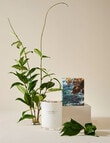 Salt&Pepper Wanderlust Candle Byron Bay, 198g product photo