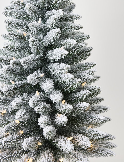 Christmas Shop Oxford Fir Tree, 90cm/3ft product photo View 03 L