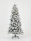 Christmas Shop Oxford Fir Tree, 210cm/7ft product photo