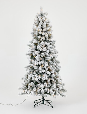 Christmas Shop Oxford Fir Tree, 210cm/7ft product photo