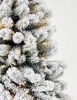 Christmas Shop Oxford Fir Tree, 210cm/7ft product photo View 03 S
