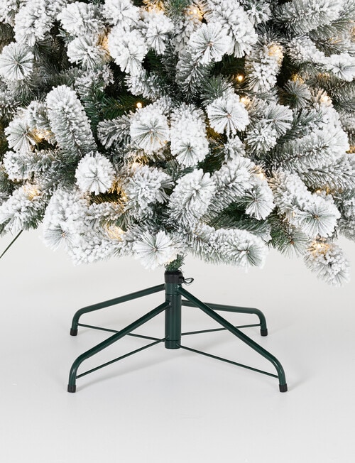 Christmas Shop Oxford Fir Tree, 210cm/7ft product photo View 05 L