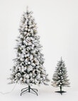 Christmas Shop Oxford Fir Tree, 210cm/7ft product photo View 06 S