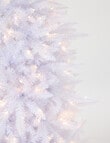 Christmas Shop Aurora Pine Tree, 210cm/7ft product photo View 03 S