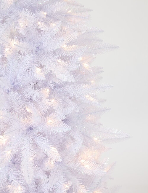 Christmas Shop Aurora Pine Tree, 210cm/7ft product photo View 03 L