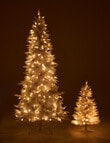 Christmas Shop Aurora Pine Tree, 210cm/7ft product photo View 07 S