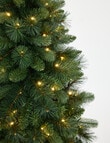 Christmas Shop Swiss Spruce Tree, 150cm/5ft product photo View 03 S