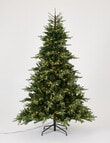 Christmas Shop Nordic Starry Spruce Tree, 240cm/8ft product photo
