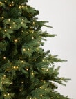 Christmas Shop Nordic Starry Spruce Tree, 240cm/8ft product photo View 03 S