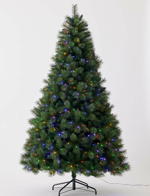 Christmas Shop Premium Portland Pine Tree, 240cm/8ft product photo View 02 L