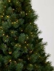 Christmas Shop Premium Portland Pine Tree, 240cm/8ft product photo View 05 S