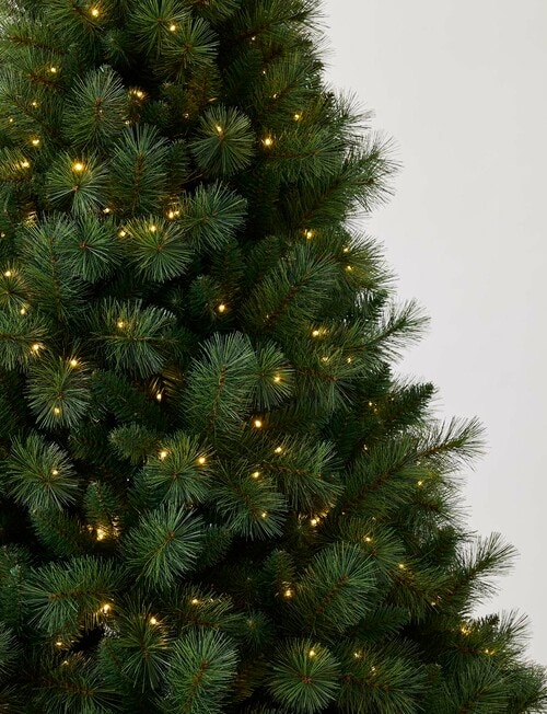 Christmas Shop Premium Portland Pine Tree, 240cm/8ft product photo View 05 L