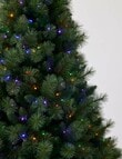 Christmas Shop Premium Portland Pine Tree, 240cm/8ft product photo View 06 S