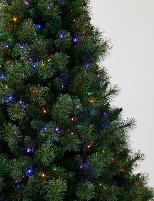 Christmas Shop Premium Portland Pine Tree, 240cm/8ft product photo View 06 L