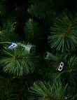 Christmas Shop Premium Portland Pine Tree, 240cm/8ft product photo View 07 S