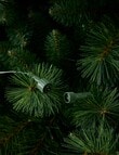 Christmas Shop Premium Portland Pine Tree, 240cm/8ft product photo View 08 S