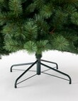 Christmas Shop Premium Portland Pine Tree, 240cm/8ft product photo View 09 S