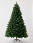 Christmas Shop Premium Portland Pine Tree, 240cm/8ft product photo View 10 S