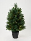 Christmas Shop Swiss Spruce Tree, 60cm/2ft product photo
