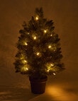 Christmas Shop Swiss Spruce Tree, 60cm/2ft product photo View 02 S