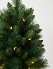 Christmas Shop Swiss Spruce Tree, 60cm/2ft product photo View 03 S