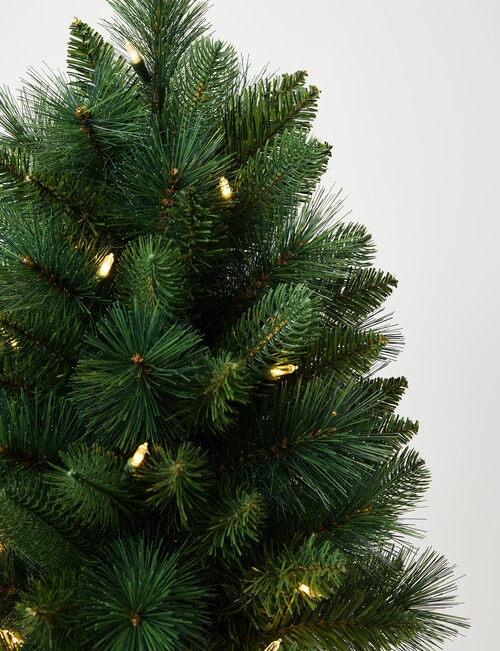 Christmas Shop Swiss Spruce Tree, 60cm/2ft product photo View 03 L